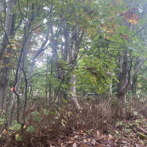 457465151_496033380025538_5052821986677991963_n