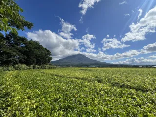 ae0e7e50-9816-4412-8f57-b6994ac41b8b