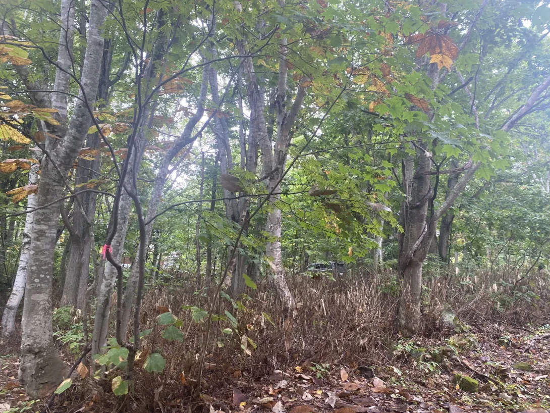 457465151_496033380025538_5052821986677991963_n