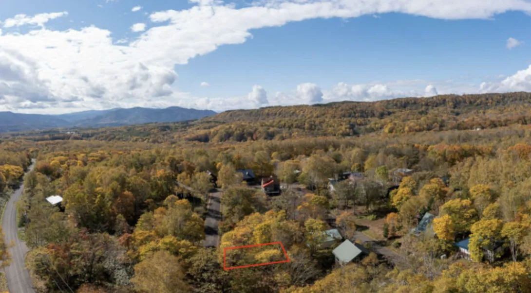 Screenshot 2024-07-05 at 12.50.56 PM